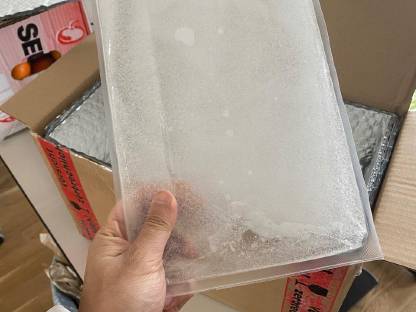 Bild 4:Frische Fisch Forelle (inkl. Versand)