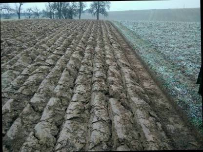 Bild 3:Wiesen/Ackerflächen zum Pflügen