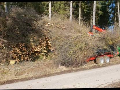 Bild 3:Durchforstungen und Landschaftspflege