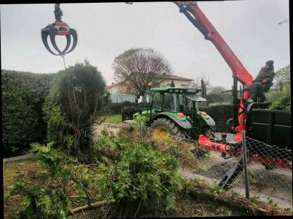 Bild 2:Durchforstungen und Landschaftspflege