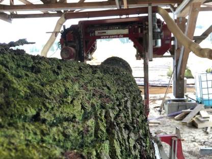 Bild 2:Dienstleistung