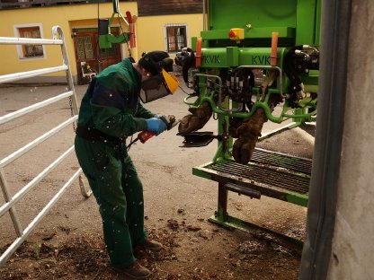 Bild 3:Zoasa´s Pediküre Klauenpflege im Raum Murtal/Murau