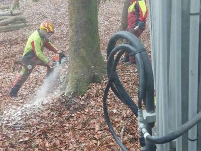 Bild 2:Holzschlägerung / -bringung