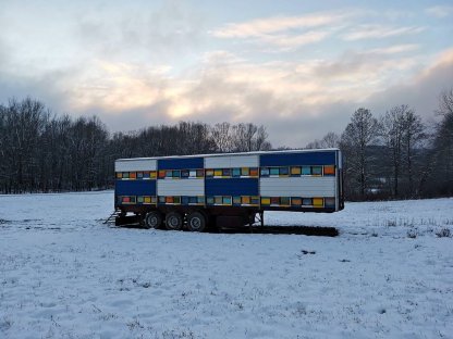 Bild 3:Honig in großen Mengen