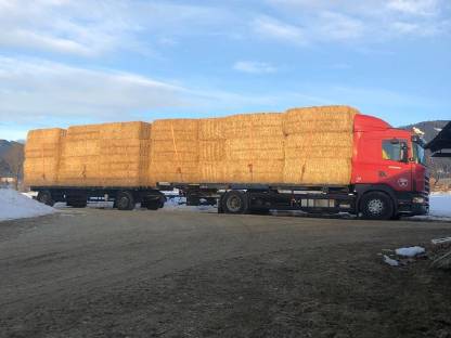 Stroh Bestellung, der Winter ist da