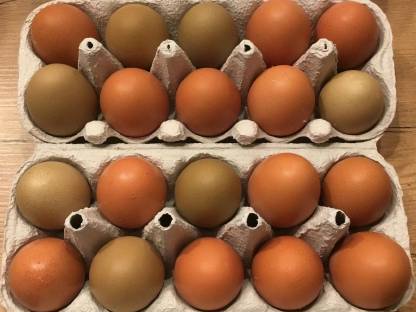 Eier, diverse Farben - ab Hof