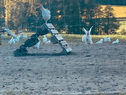 Bild 3:Suchen Ackerflächen zur Pacht