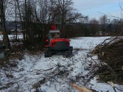 Bild 4:Westtech C250 Fällgreifer zu vermieten