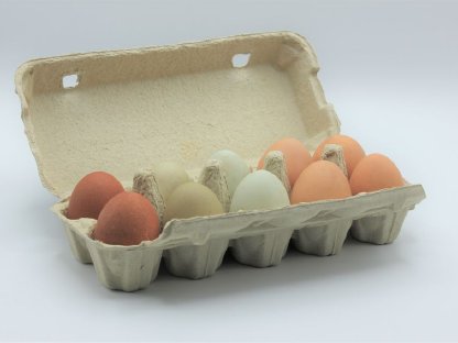 10 Eier aus Freilandhaltung