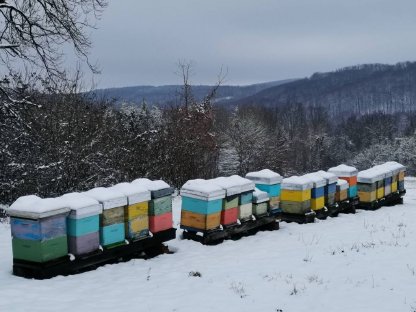 Bild 5:Honig in großen Mengen