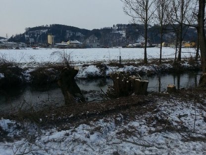 Bild 3:Westtech C250 Fällgreifer zu vermieten