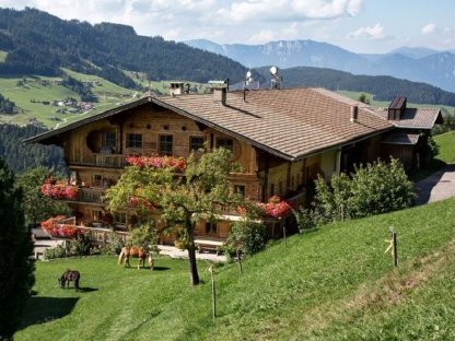 Suchen Hof in Tirol zur Weiterführung