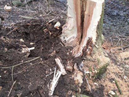 Bild 4:Westtech W820 zu vermieten