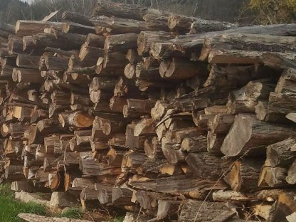 Bild 3:Westtech W820 zu vermieten