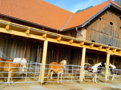 Bild 7:Einstellplatz Oberkärnten - Paddockbox, Nähe Spittal