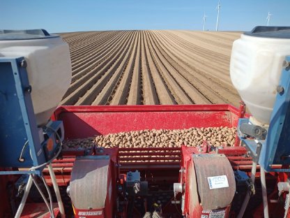 Bild 9:Kartoffellegen XXL 2025