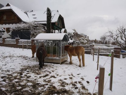 Bild 5:Einstellplatz Oberkärnten - Paddockbox, Nähe Spittal