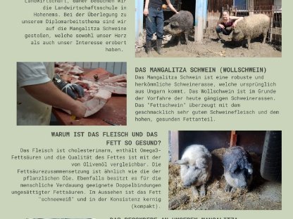 Bild 3:Lardo vom Mangalitza Schwein