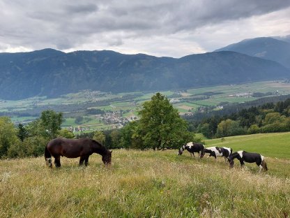 Bild 3:Einstellplatz Oberkärnten - Paddockbox, Nähe Spittal