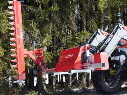 Bild 2:Schneiden von Hecken, Büschen (Flurbereinigung)