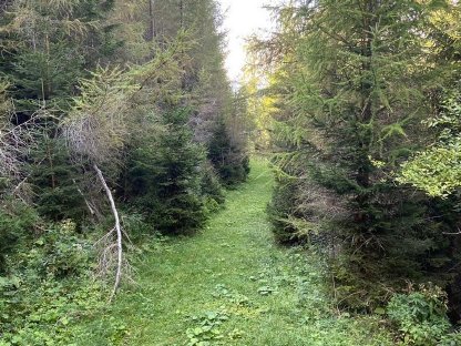 Bild 3:Böschungspflege System Erdbau Bayer