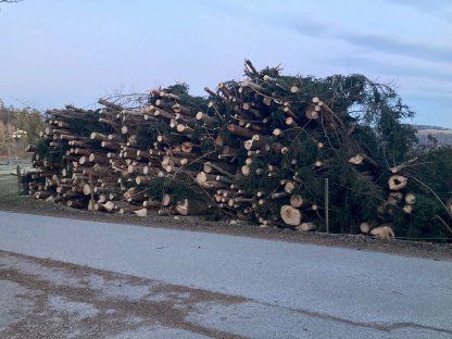 Bild 4:Forstdienstleistung Gruber