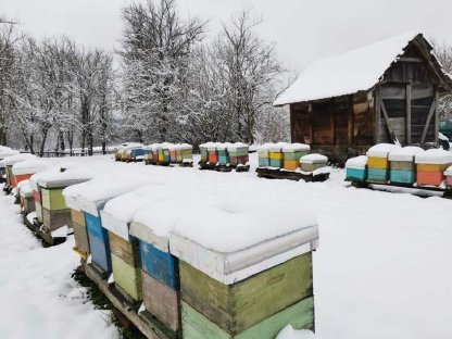 Bild 6:Honig in großen Mengen