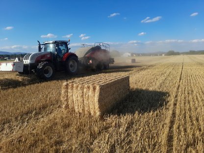 Bild 6:Heu, Luzerne und Stroh aus Ernte 2025, auch in BIO-Qualität