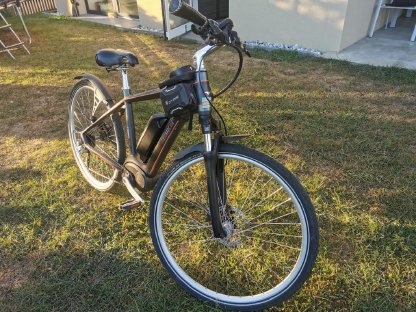 Orig. E-Bike Elektro Fahrrad 48 Damen und Herren