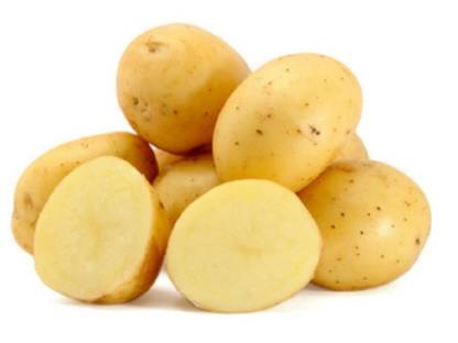 Waldviertler Bio Kartoffeln