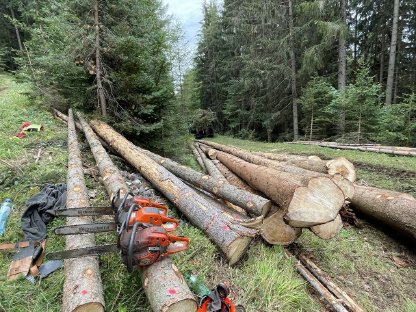 Bild 6:Forstdienstleistung Gruber