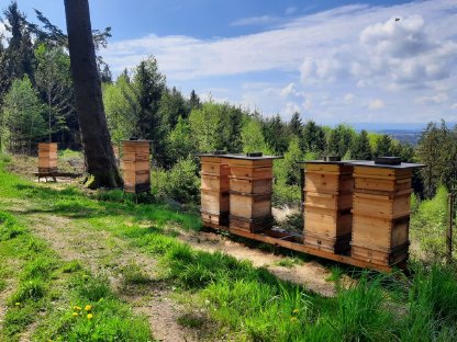 Bild 3:Bio Honig, Wachs, Bienenvölker