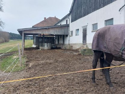 Pferdestall Eberschwang