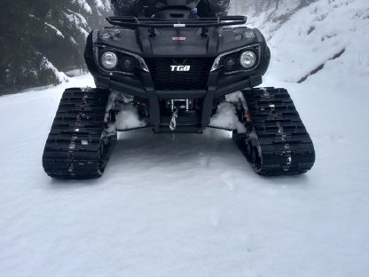 Quad, ATV, 1.000 ccm, 2-Zylinder, 84 PS