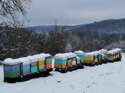Bild 4:Honig in großen Mengen