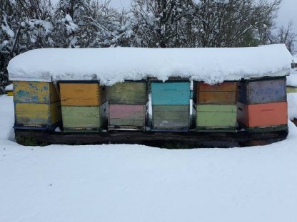 Bild 3:Honig in großen Mengen