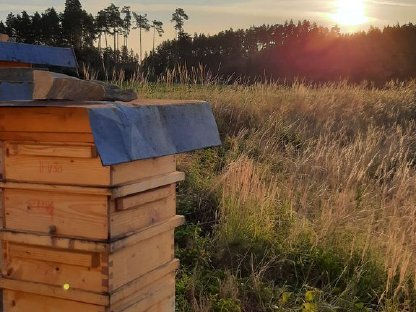 Bild 6:Bio Honig, Wachs, Bienenvölker