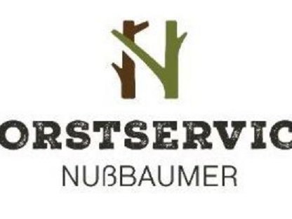 Bild 5:Holzschlägerung