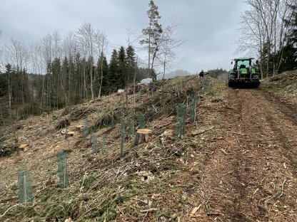 Bild 8:Forstdienstleistung Gruber