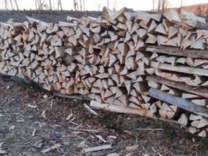 Brennholz weich