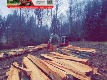 Bild 8:Erdbau-Holzspalten-Transportarbeiten-Vermietung