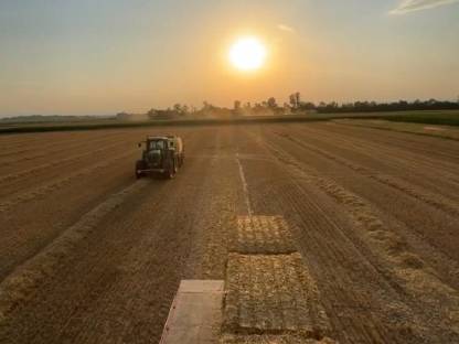 Verkaufe Stroh Ernte 2024