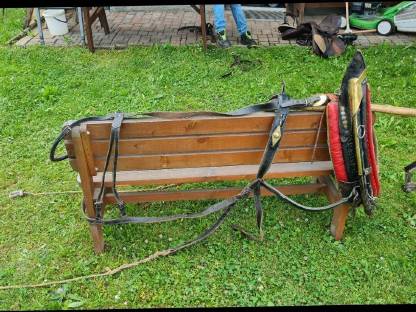 Bild 5:Haflinger Kummtgeschirr