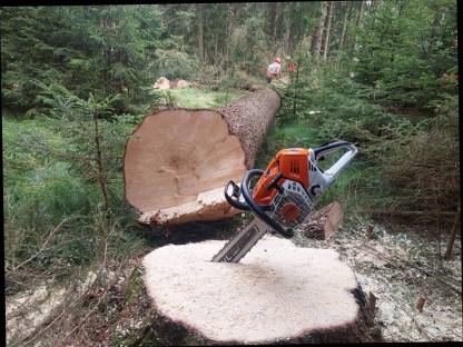 Forstarbeiten und Holzbringung