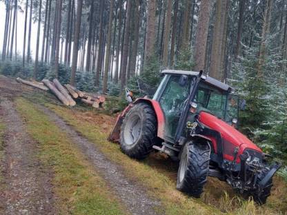 Bild 4:Forstarbeiten und Holzbringung
