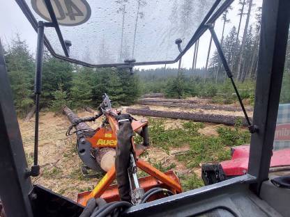Bild 3:Forstarbeiten und Holzbringung