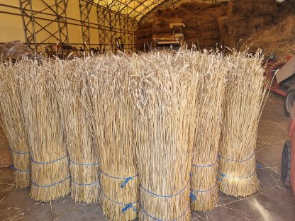 Bild 4:Roggenstroh