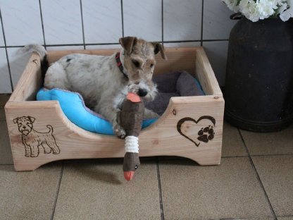 Bild 6:Hundebett mit Gravur, Hundekorb