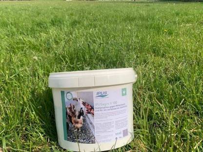 Bild 4:Jetzt noch rechtzeitig Vogelmilben bekämpfen