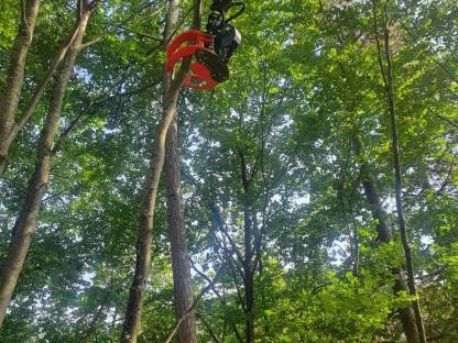 Bild 3:Energieholzernte